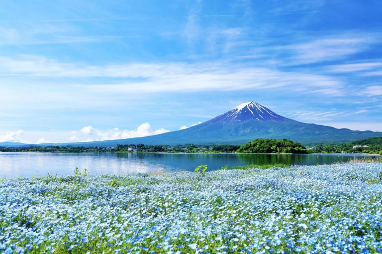Discover Mt. Fuji & Scenic Lake Kawaguchi: A Day Trip from Tokyo!