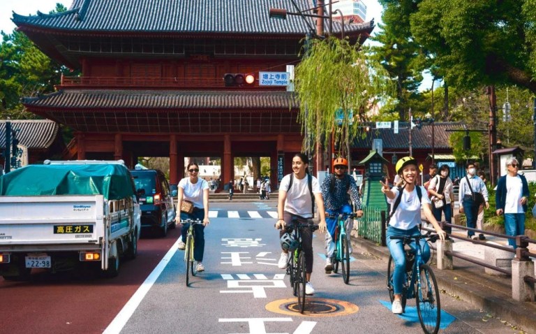 Explore Tokyo by Bike: A 3-Hour City Tour
