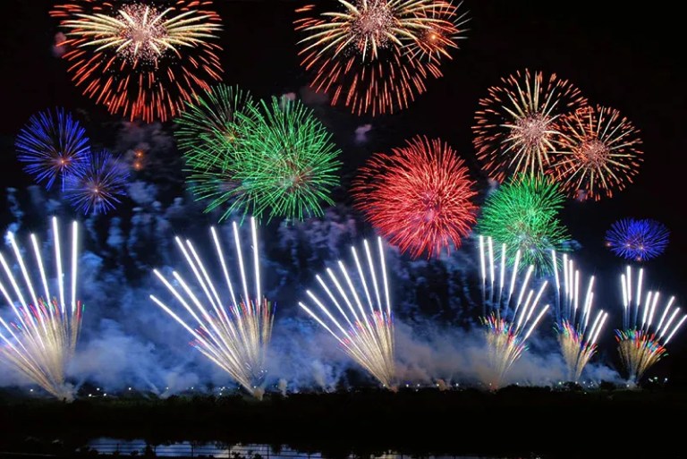 Tone River Fireworks Festival & Hitachi Seaside Park Day Tour - A Day of Fireworks and Flowers!