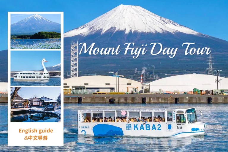 Mt. Fuji Twin Lakes Boat Trip: A Scenic One-Day Adventure