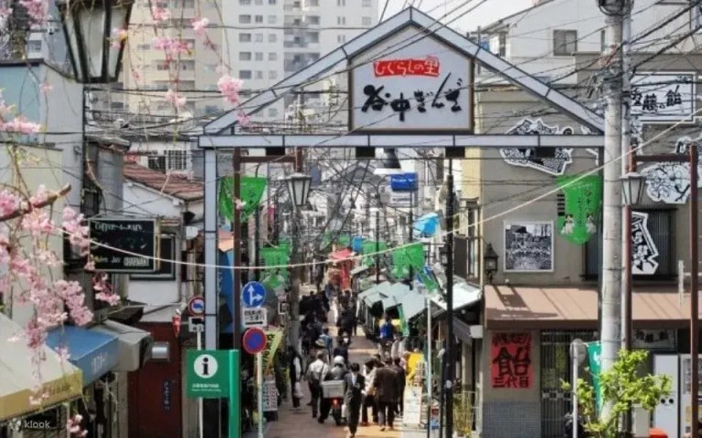 Discover Ueno, Yanaka & Sendagi: A Private Walking Tour of Tokyo's Heritage Gems