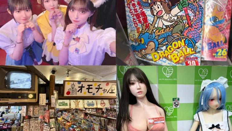 Akihabara Anime Adventure: Retro Tokyo Tour with Maid Cafe & Pickup
