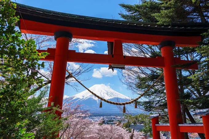 Mt. Fuji & Hakone: Private Day Tour from Tokyo