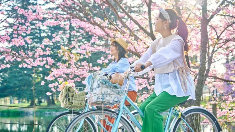 Karuizawa Day Tour: Sightseeing, Shopping, and Cycling Adventures!