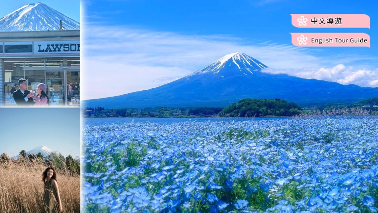 Mount Fuji and Hakone Kawaguchiko Flower Viewing Tour: A Day of Natural Beauty from Tokyo