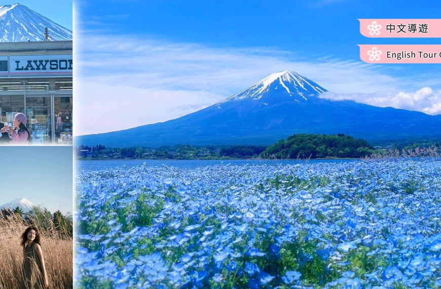 Mount Fuji and Hakone Kawaguchiko Flower Viewing Tour: A Day of Natural Beauty from Tokyo