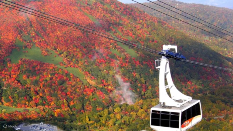 Nasu Plateau Day Tour: Scenic Views, Delicious Food, and Relaxing Onsen (Easy Day Trip from Tokyo)