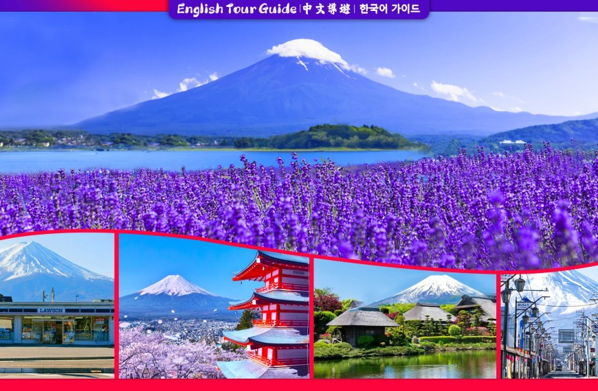 Capture Mount Fuji: Instagram-Worthy Sightseeing Tour from Tokyo