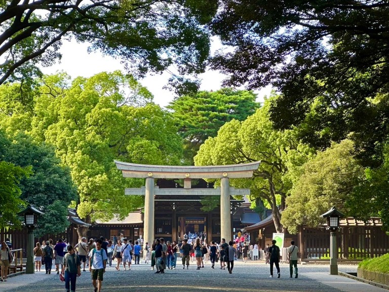 Discover Tokyo: Meiji Shrine Cultural Walking Tour - Experience the Heart of Japan