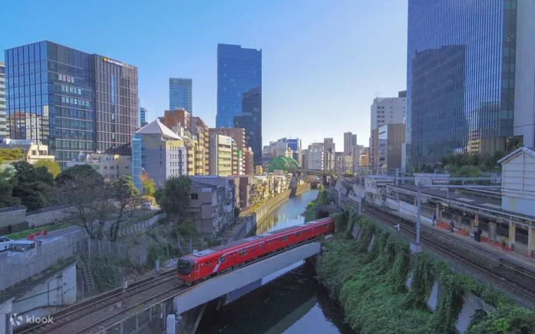 Explore the World of Makoto Shinkai: A Half-Day Movie Tour in Tokyo