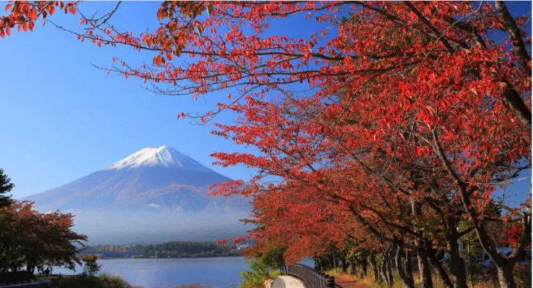 Mount Fuji, Oshino Hakkai & Kawagoe Day Tour from Shinjuku: Breathtaking Views & Cultural Delights!