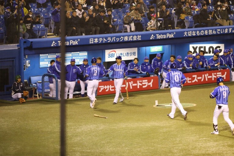 Experience Tokyo Baseball: A Guided Tour for English Speakers