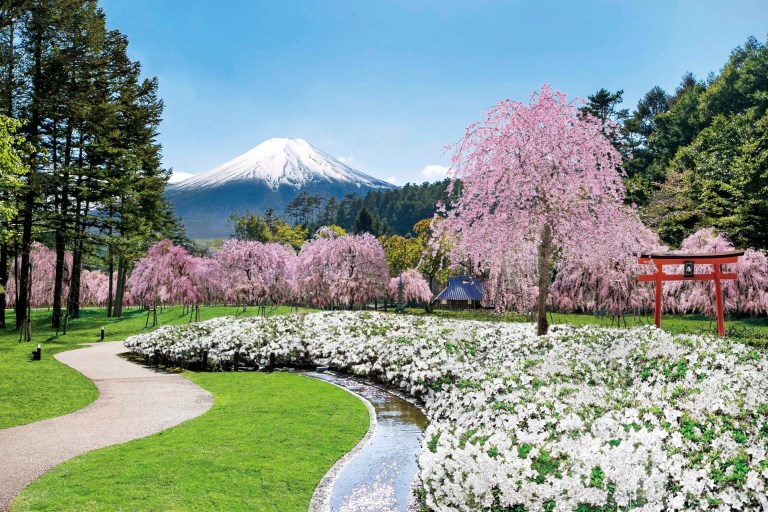 Discover Mt. Fuji & Hakone: Unforgettable Day Tour from Tokyo