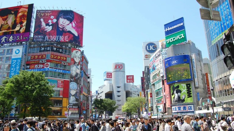 Custom Tokyo Tour: Explore the City in Style with a Private Vehicle