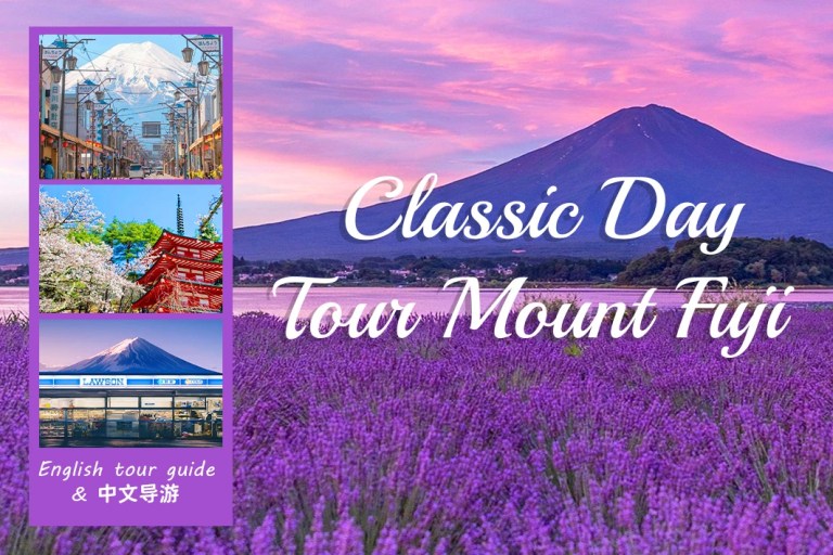 Explore Fuji's Iconic Spots: A Day Tour with Photo Ops & Lake Views