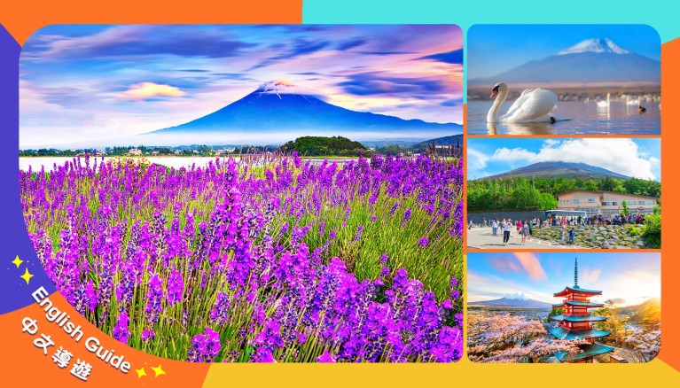Seasonal Fuji Views & Onsen Experience: Lake Kawaguchi & Yamanakako Cruise Day Tour from Tokyo/Shinjuku