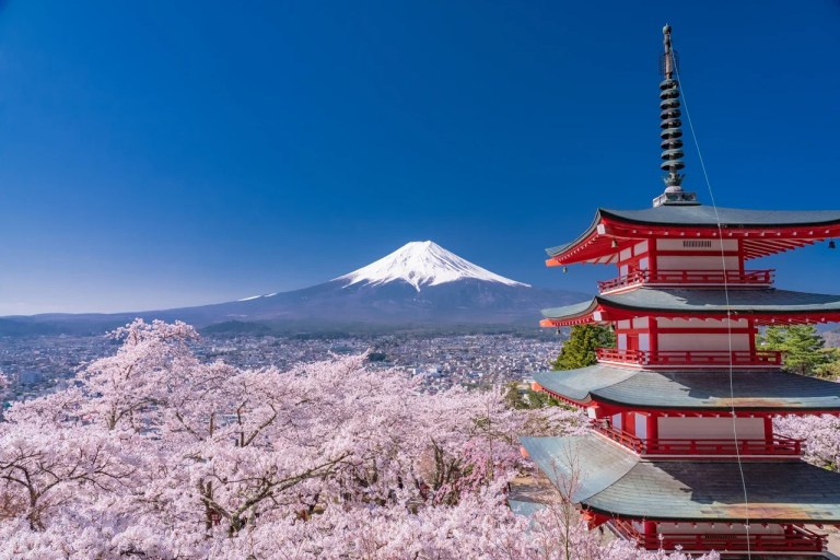Experience the Majestic Mt. Fuji & Traditional Japanese Village Tour