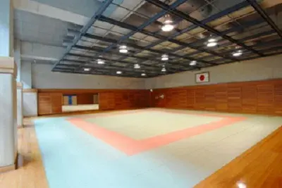 Discover the Spirit of Japan: Aikido Lesson