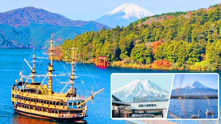 Mount Fuji & Hakone: Scenic Day Tour with Cable Car & Volcanic Wonders (From Tokyo)