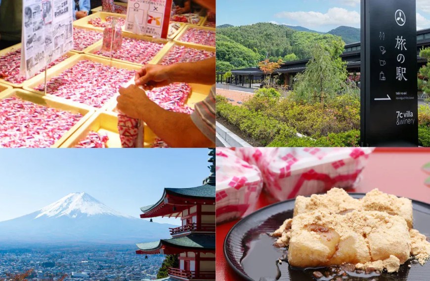 Fuji Mountain Views & Kikyo Shingen Mochi: All-You-Can-Pack Tour