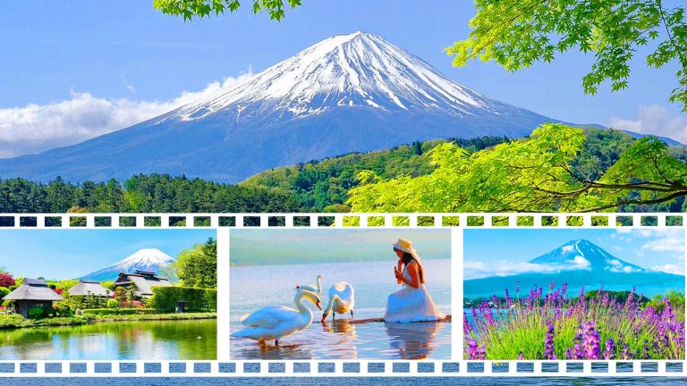 Experience the Majestic Mt. Fuji: Flower Viewing, Scenic Spots & Fun Activities! (Chinese & English)