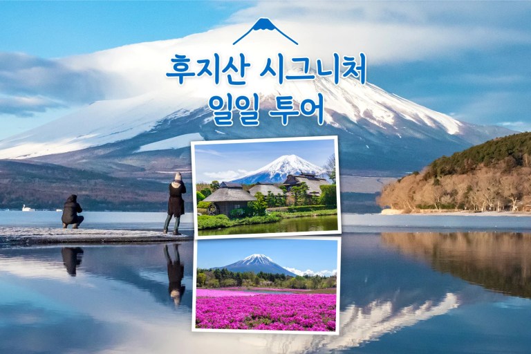 Discover Mt. Fuji & Hakone: A Must-See Sightseeing Tour