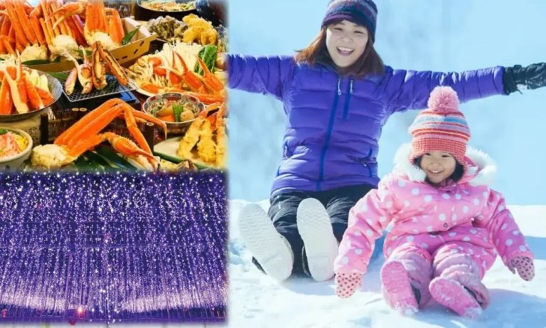 Snow Sledding, Crab Feast & Ashikaga Illumination: A Winter Wonderland Adventure!