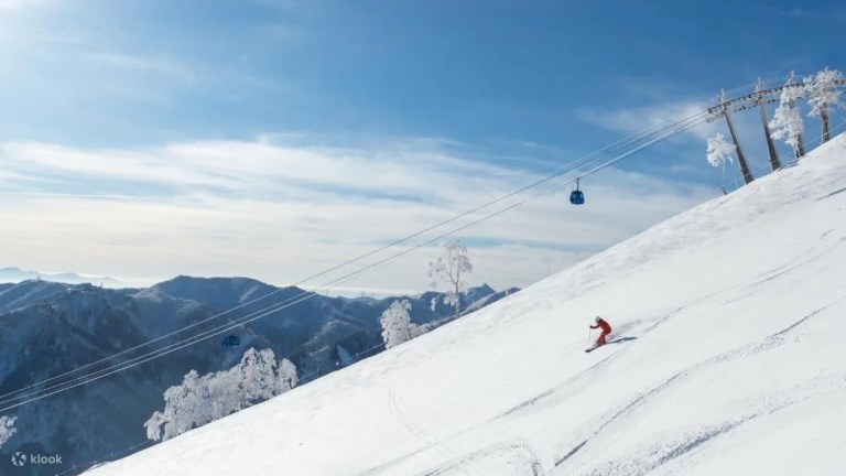 Yuzawa GALA/Naeba Ski Resort: Private Day Trip from Tokyo