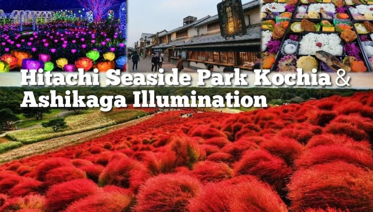 Tokyo Day Trip: Hitachi Seaside Park, Ashikaga Flower Park & Tanbara Adventure!