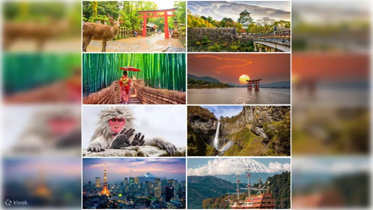 Japan Private Tour: 10 Days of Unforgettable Attractions