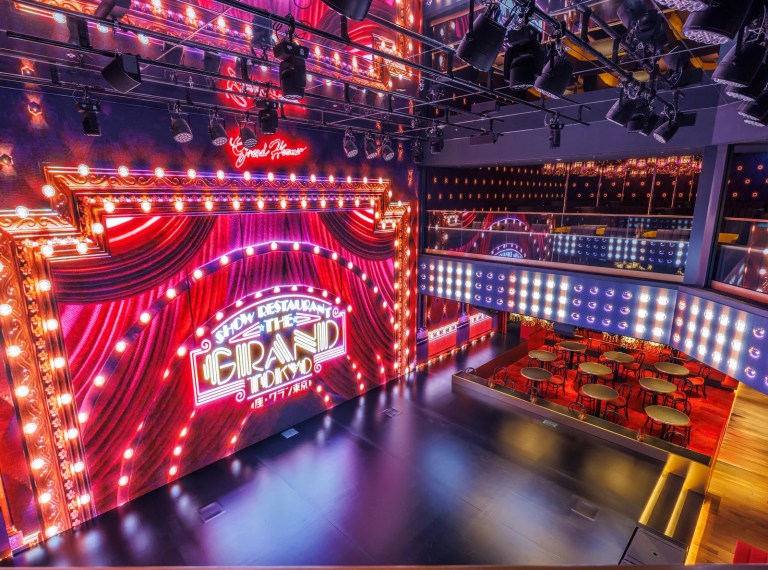 Tokyo's Grand Dinner Show: A Night of Variety & Entertainment!