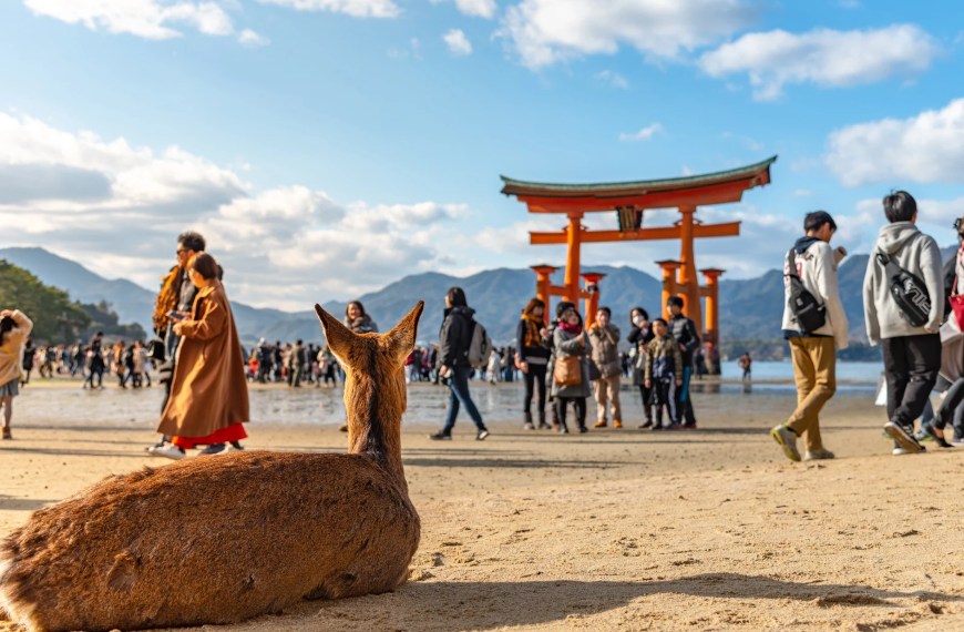 Explore Hiroshima & Miyajima: Ferry & Bullet Train Options Available