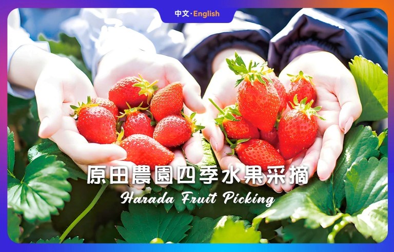 Gunma Fukiwara Falls & Fruit Picking & Lavender/Skiing/ Onsen Tour: A Multi-Experience Adventure!