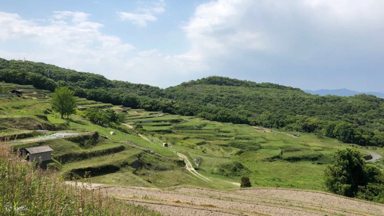 Teshima/Inujima Art Adventure: Setouchi Triennale 2025 Experience