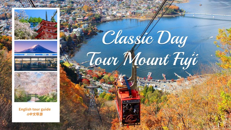 Mt. Fuji Day Tour: Scenic Views, Ropeway, Lawson, Oshino Hakkai, and Arakurayama Park