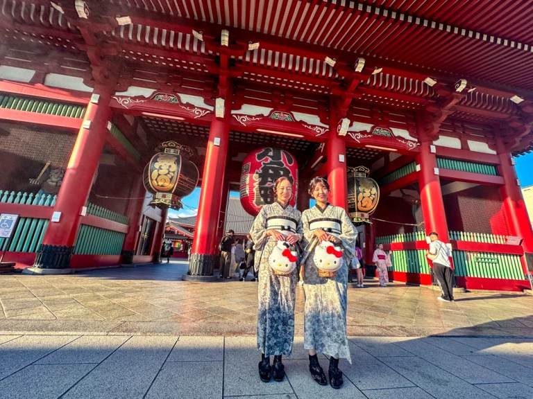 Tokyo Full Day Tour: Meiji Shrine, Imperial Palace, Asakusa & Skytree