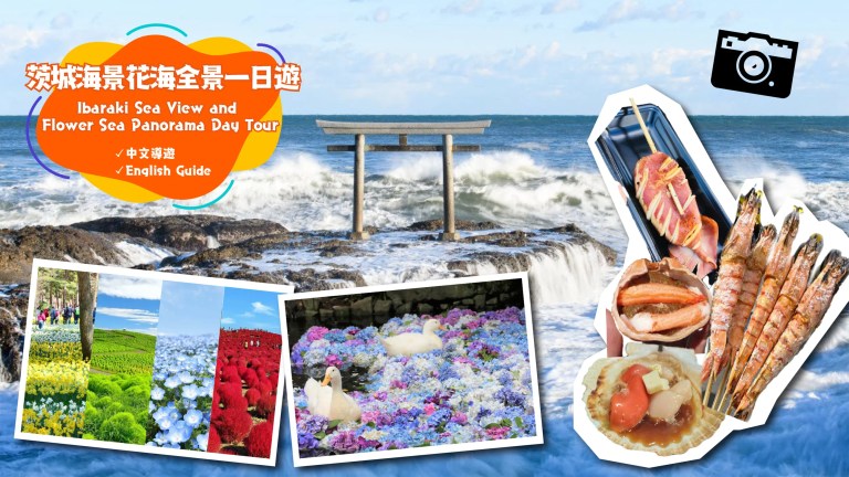 Ibaraki Flower Sea, Sea Torii, Hydrangea Temple & Seafood Market Tour from Tokyo (English/Chinese)
