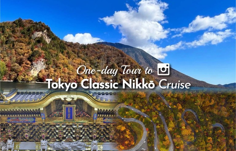 Discover Fall's Beauty: Nikko Day Tour from Tokyo - Toshogu Shrine, Ropeway & More!