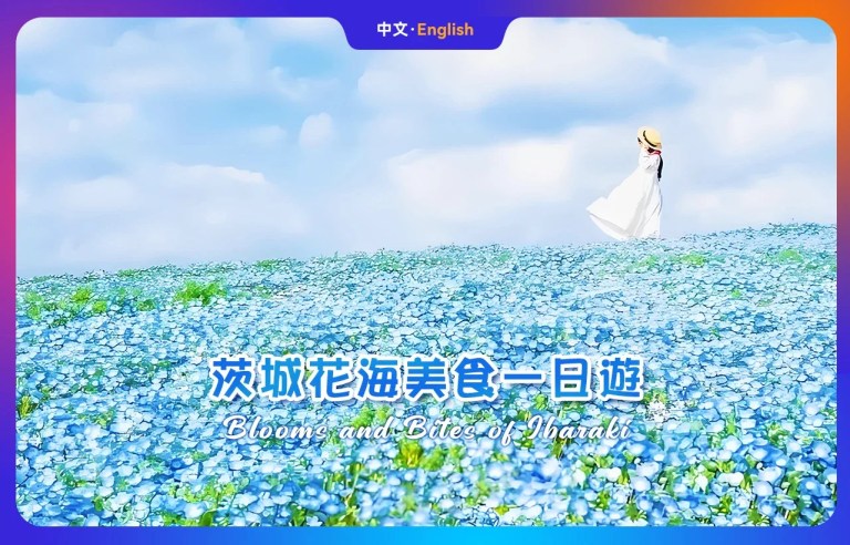 Discover Ibaraki's Wonders: A Day Trip to Oarai Isosaki Shrine, Nakaminato Seafood Market, Hitachi Seaside Park & Butterfly Flower Sea (From Tokyo)