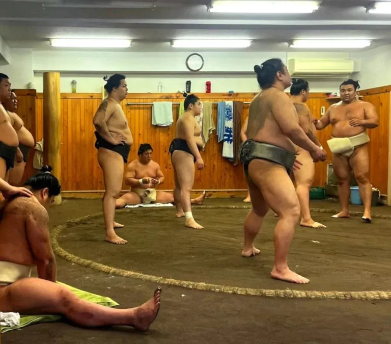 Tokyo Highlights Tour: Sumo, Sushi, Tea, Temples & Tokyo Tower - A Cultural Adventure!