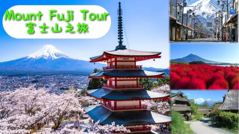 Mt. Fuji Day Trip: Explore Top Sightseeing Spots from Tokyo