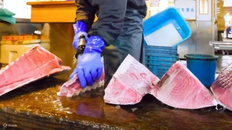 Tokyo Adachi Fish Market Tour: Fresh Seafood Breakfast & Local Experience