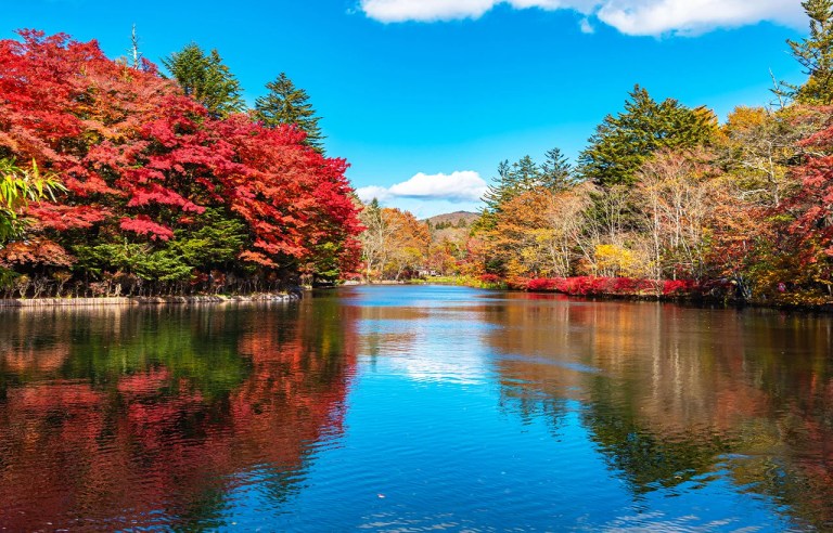 Karuizawa & Kawagoe Day Trip: Explore Scenic Beauty & Historic Charm from Tokyo