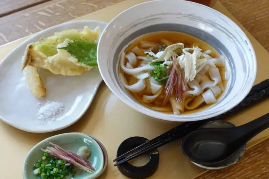 Experience Authentic Japanese Cuisine: Vegan & Gluten-Free Udon Noodle ...