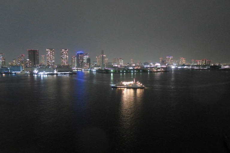 Tokyo Bay Dinner Cruise: Enjoy a Romantic Evening on the Water!