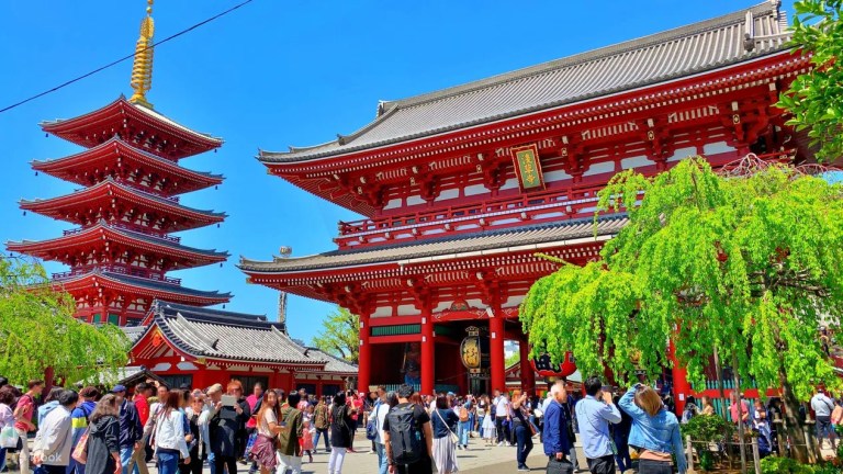 Asakusa Historical Walk & Tokyo Skytree Private Tour
