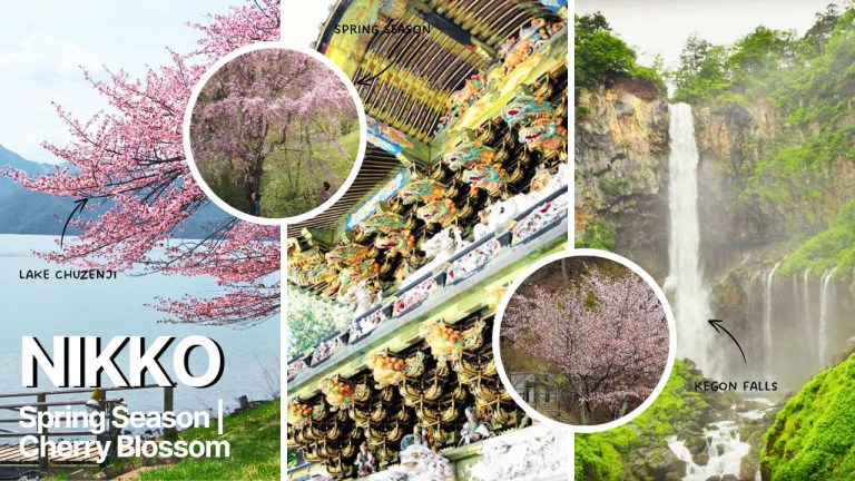 Explore Nikko in Style: Private Chartered Car Day Trip from Tokyo