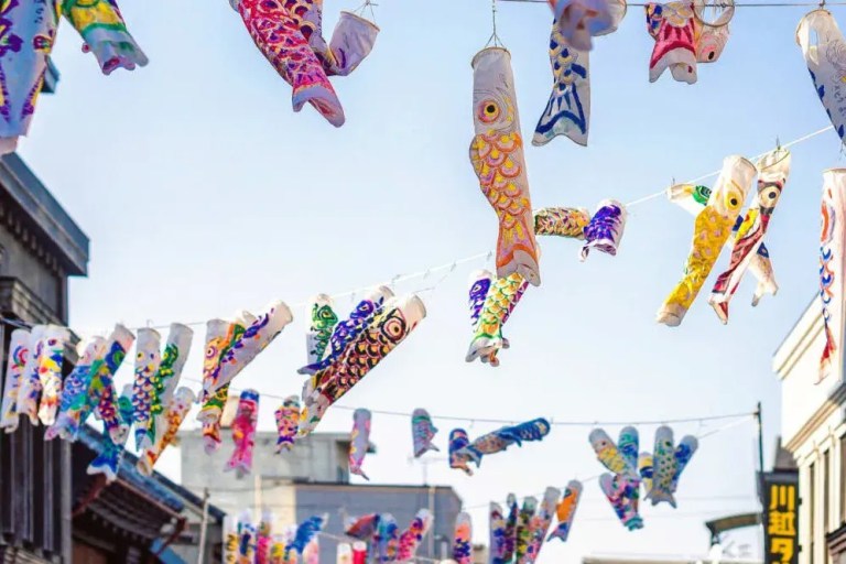Kawagoe Private Day Tour from Tokyo: Customize Your Adventure!
