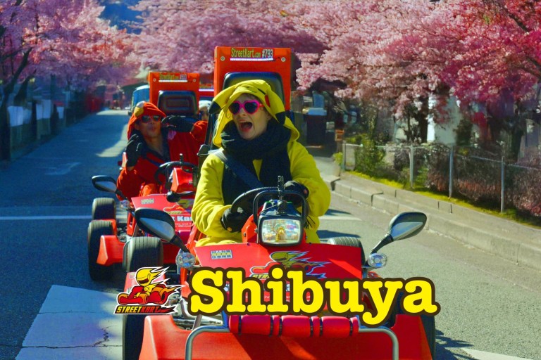 Shibuya Street Go-Kart Adventure: Race Through Tokyo's Iconic Streets!
