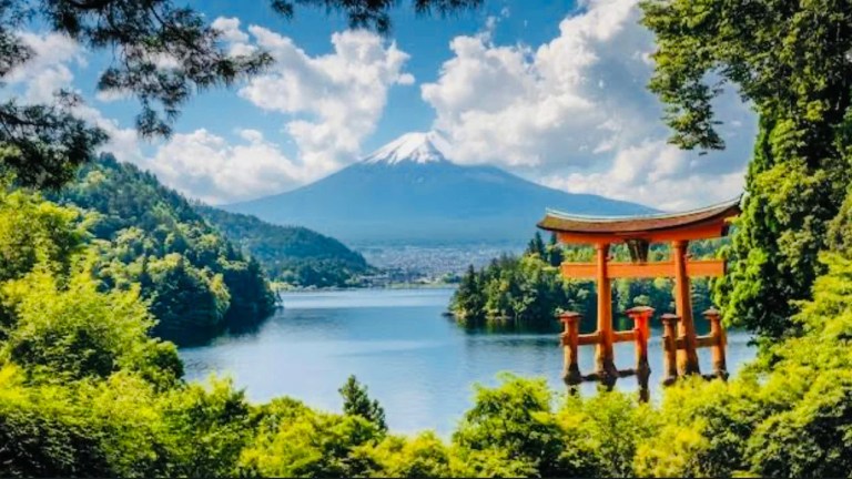 Private Hakone Day Trip with English-Speaking Driver: Explore Scenic Beauty